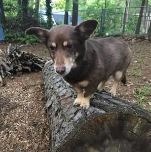 Meet your Posher, Jill